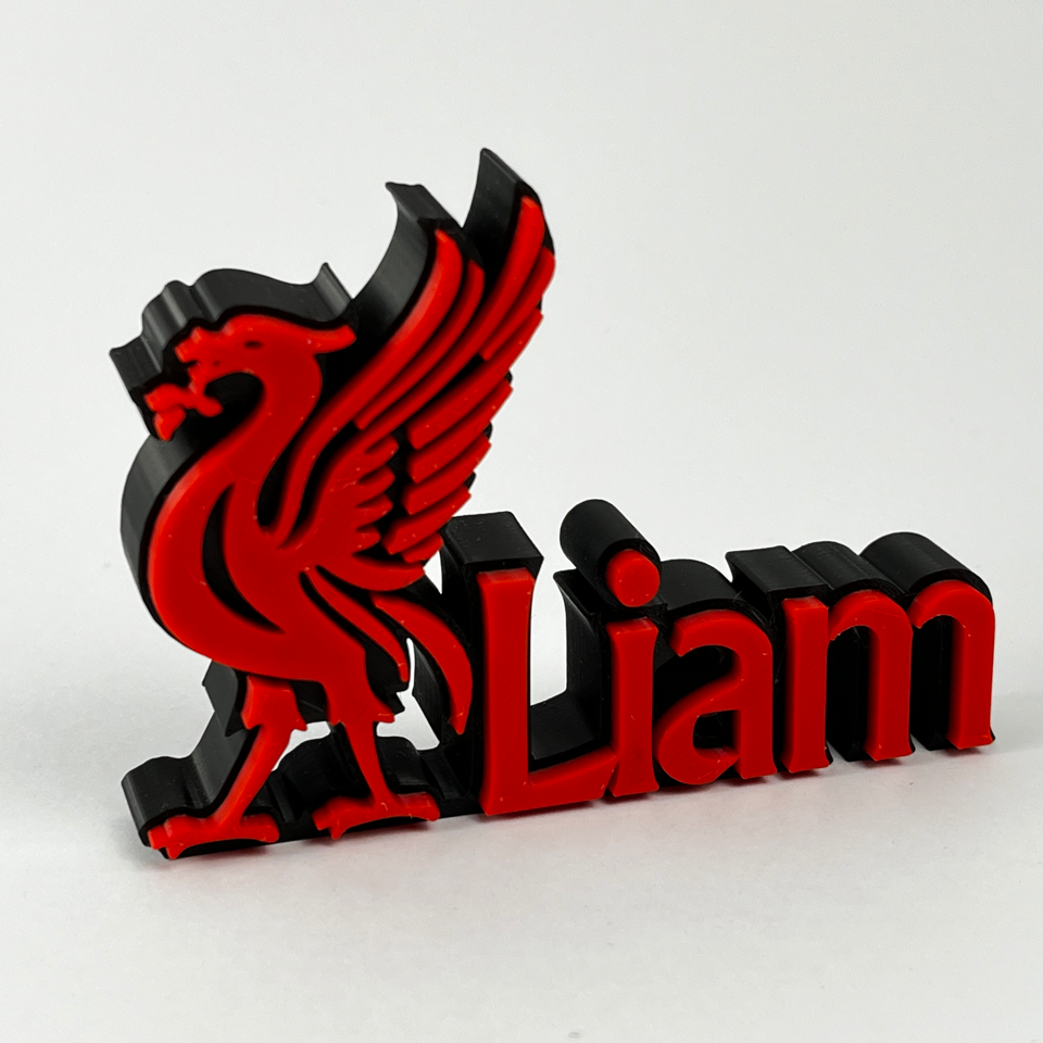 Personalised LFC Liverbird Name Plate, Custom LFC Desk Plate, Name Desk Plaque, Gift for Scousers, Liverpool FC Gift