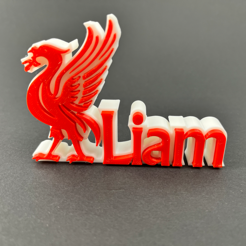 Liverpool FC liverbird personalised desk plaque, High Quality Custom Name Plate, Best Gift for any Liverpool fans